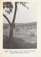 Nádas Péter: Évkönyv. Ezerkilencszáznyolcvanhét. Ezerkilencszáznyolcvannyolc. Bp., 1989, Szépirodalm...