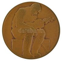 Berán Lajos (1882-1943) 1914. "Vörösmarty Mihály 1800-1855 / Húzd, ki tudja meddig húzhatod&quo...