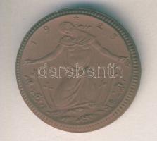 Német Birodalom / Weimari Köztársaság 1923. "Meissen háborús emlékhely" barna porcelánérem...