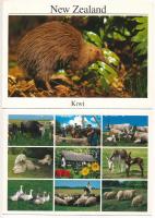 30 db MODERN állatos képeslap / 30 modern animal postcards