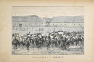 Wrangel, C: G.: Ungarns Pferdezucht in Wort und Bild. 1-4. köt. Stuttgart, 1893-1895, Schickhardt &a...