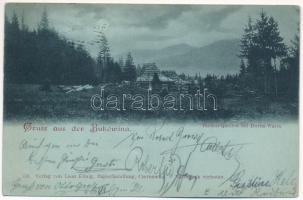 1898 (Vorläufer) Vatra Dornei, Dornavátra, Bad Dorna-Watra (Bukovina, Bukowina); Burkut-Quellen am Nacht / spring at night