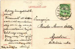 1910 Temesvár, Timisoara; Losonczy tér a Szerb templommal, Belvárosi piac, csendőr. Moravetz testvér...