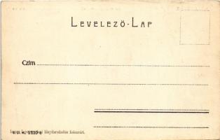 Kolozsvár, Cluj; az erdélyi református egyházkerület Theologia fakultása, Fodor Antal üzlete. Lepage...