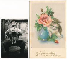 MACSKÁK - 19 db modern képeslap vegyes minőségben, grafika és fotólapok / CATS - 18 modern postcards...