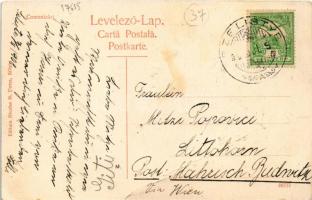 1908 Szelistye, Salistea Sibiului, Saliste; cu partile: Brata, Gruiul si Malul Riului (fa)