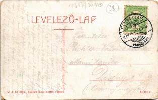 1910 Fogaras, Fagaras; Apaffy fejedelem vára. W.L. Bp. 6093. Thierfeld Dávid kiadása / Schloss / cas...