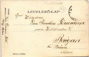 1910 Lugos, Lugoj; látkép. Berecz J. kiadása / general view (EK)