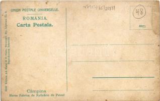 Campina, Marea Fabrica de Rafinarie de Petrol / Petroleum refinery, oil field, factory (fl)