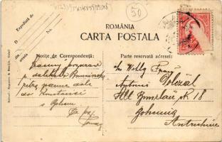 1909 Galati, Galatz; Vedere in spre Gradina Veche si imprejurimi / Old Park and surroundings (EB)