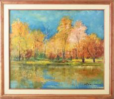 Gádor Emil (1911-1998): Őszi fák. Olaj, farost, jelzett, hátoldalán Képcsarnok Vállalat címkéjével. Dekoratív fakeretben, 50×60 cm