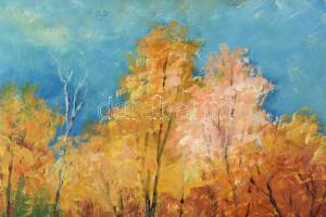 Gádor Emil (1911-1998): Őszi fák. Olaj, farost, jelzett, hátoldalán Képcsarnok Vállalat címkéjével. ...