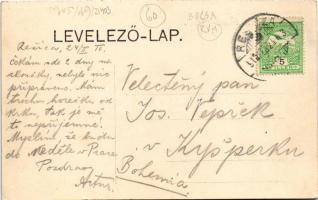 1910 Boksánbánya, Németbogsán, Deutsch-Bogsan, Bocsa Montana;