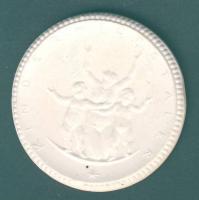 Németország DN "Waldenburg" fehér porcelán emlékérem T:1