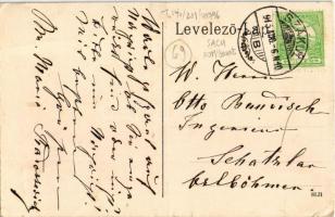 1915 Szákul, Sacu; Radossevich kastély. Hátoldalon Br. Marie Radossevich levele / Radossevich Kastel...