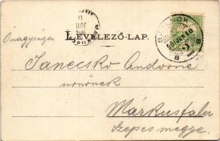 1904 Szolnok, Sétatér a tiszai híd felől. Szigeti H. udvari fényképész (EK)