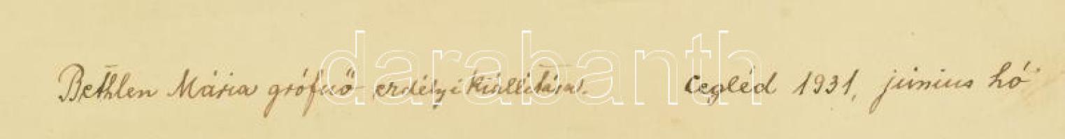 1931 Cegléd, Bethlen Mária grófnő erdélyi kiállítása, kartonra kasírozott, feliratozott fotó, karton...