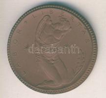 Német Birodalom / Weimari Köztársaság 1922. 300Studententaler "Labor Libertas" barna porce...