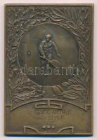 1936. Dr. Kende Arthur vándordíj védő bronz díjplakett (81x56mm) T:XF