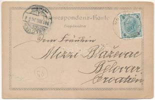 1901 Vrlika, Opcinski Dom, Cesma, Gradina. L. Mioni Photogr. Pola / town hall, mineral water spring,...