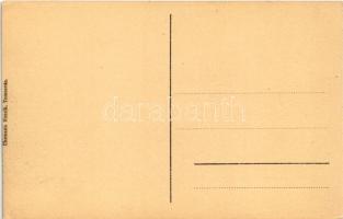 Temesvár, Timisoara; Jenő herceg tér és Erőd utca, Turul cipőgyár részvénytársaság főraktára, Temesi...