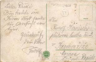 Knin, Pogled sa tvrdjave na bolnicu i Kninsko polje (EB)