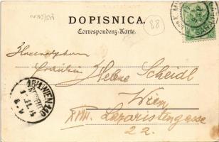 1904 Sarajevo, Holzverkäufer und Hausierer. Simon Kattan / Wood sellers and peddlers, market (fl) + ...