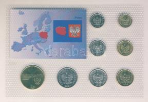 Lengyelország 1994-2003. 10Gr-2Zl "II.János Pál pápa" 8klf db, kereskedői szettben T:1