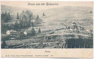 1914 Ploska, Plosca (Putyla, Putilla); Gruss aus der Bukowina / Bukovina (ázott sarok / wet corner)