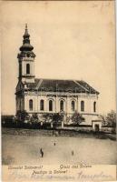 Dolova, Dolovo; Görögkeleti (ortodox) román templom / Romanian Orthodox church (fl)
