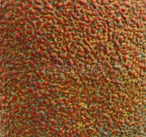 Pesthidegkúti zsugorított mázas váza. Tervező: Csizmadia Margit (1925-1991). Színes mázakkal festett...