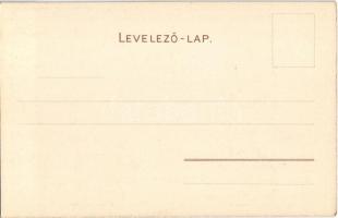 Budapest XI. Saxlehner András Hunyadi János keserűvíz üzeme, reklám / Andreas Saxlehner Etablissemen...