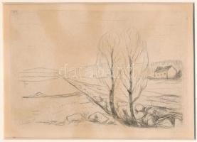 Edvard Munch (1863-1944): Tájkép (Landschaft). Rézkarc, papír, jelzés nélkül. Megjelent: Hermann Str...