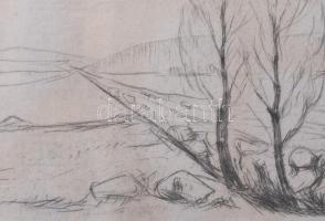 Edvard Munch (1863-1944): Tájkép (Landschaft). Rézkarc, papír, jelzés nélkül. Megjelent: Hermann Str...