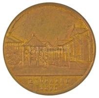 1875. "A magyar orvosok és természet vizsgálók XVIII. nagy gyűlésének / Előpatak 1875" ara...