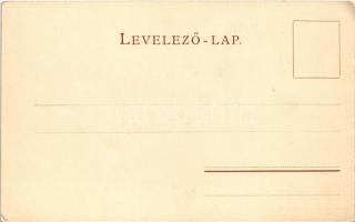 Budapest V. Deák tér, Reinisch Testvérek Élővirág csarnoka, Anker Udvar, Schlesinger S., Bretschneid...