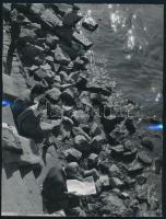 cca 1959 Szilárd Gyula (?-?) budapesti fotóművész vintage fotóművészeti alkotása (A Duna partján), ezüst zselatinos fotópapíron, jelzés nélküli kép a hagyatékából, 24x18,2 cm