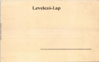 Budapest II. Szent Lukács fürdő a Rózsaheggyel, Rózsadomb, úszómedence a Dunán, villák. Taussig Arth...