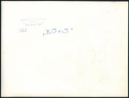 cca 1979 Dömötör László: ,,Bütü" című, pecséttel jelzett, vintage fotóművészeti alkotása, ezüst...