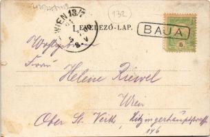 1900 Baja, Erzsébet királyné utca, cipő üzlet (szakadás / tear)