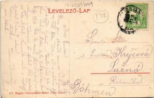 1916 Piliscsaba, utca és üzlet. Art Nouveau, floral