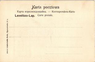 Csorsztin, Csorsztyn, Czorsztyn; Czesc ruin od wschodu / vár / castle (EK)