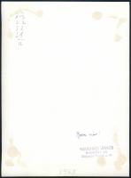 1968 Keveházi János budapesti fotóművész pecsétjével jelzett, vintage fotóművészeti alkotás, ezüst z...