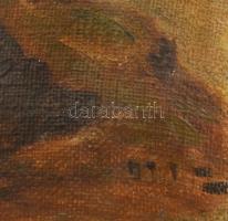 Ott Zoltán (1881-?). Lány a vízparton. Olaj, vászon, jelezve jobbra lent. 40x30 cm. Apró felületi sé...