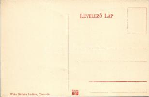 Trencsén, Trencín; vár 237 évvel ezelőtt. Weisz Náthán kiadása / castle