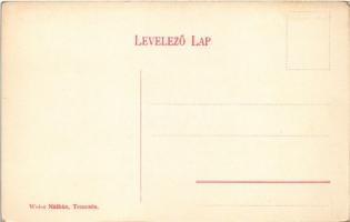 Trencsén, Trencín; várrom. Weisz Náthán kiadása / Burgruine / castle (fl)