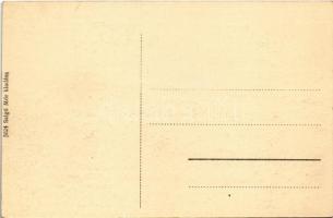 Zboró, Zborov; Száz hársfa, II. Rákóczi Ferenc kedvenc sétahelye. Salgó Mór kiadása / linden tree pr...