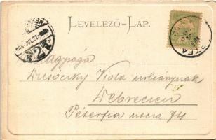 1905 Zboró, Zborov; Zborói várrom. Eschwig Ede F. kiadása. Hajts Kornél felvétele / Zborovsky hrad /...