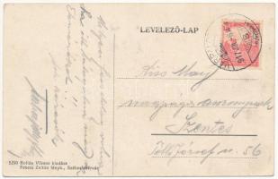 1917 Pétfürdő, Vendéglő utcai része és kerthelyisége, Hollós Vilmos tulajdonos saját kiadása (EK)