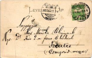 1910 Budapest IX. Vámház körút, Las Torres Gyula üzlete. Montázs lovas hintóval (EM)